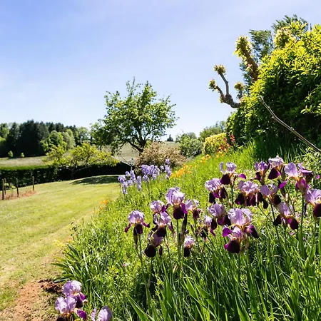 Du Bois Du Pech Saint-Projet (Lot)