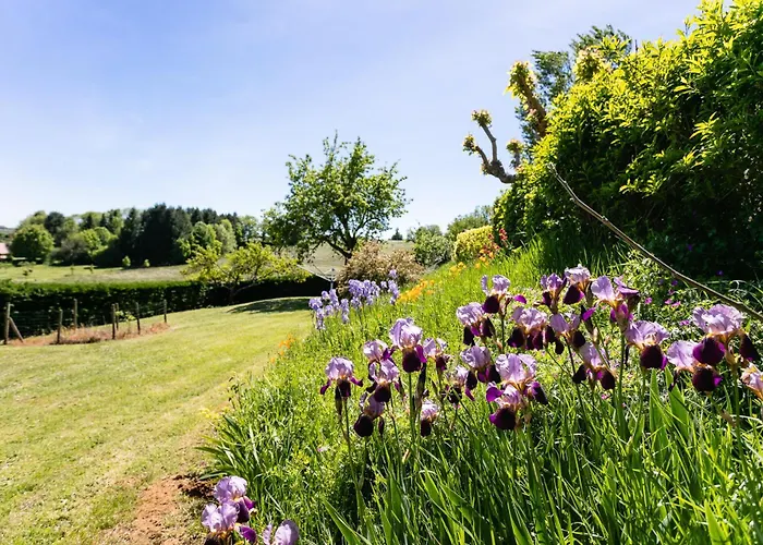 Du Bois Du Pech Saint-Projet