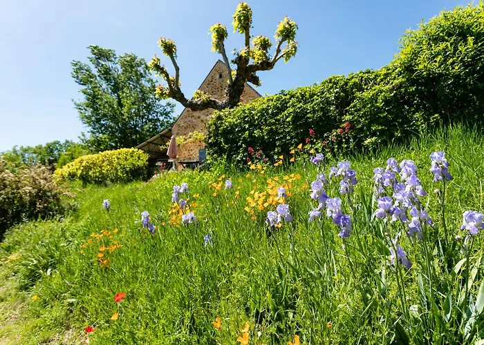 Du Bois Du Pech Nyaraló *